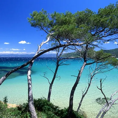 Lejlighed Duplex - Piscine - Vue 180 Degres Carqueiranne